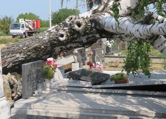 FOTO: Vjetar (breza) poharao grobove u Vrbovcu