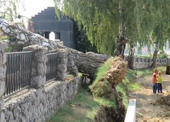 FOTO: Vjetar (breza) poharao grobove u Vrbovcu
