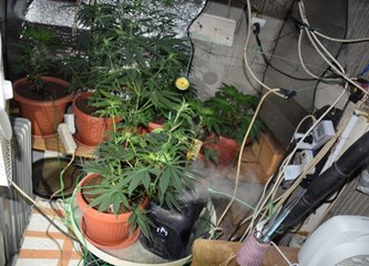 U obiteljskoj kući u Kloštru otkriven improvizirani laboratorij, policija zaplijenila više od 2 kg marihuane