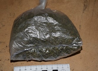 [FOTO] Muškarac (39) na Plešivici uzgajao marihuanu, u kući mu pronašli 22 stabljike