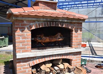 Šesto ljudi startalo na Gastro biciklijadi