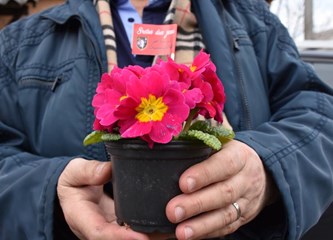 Velika Gorica: Doček Međunarodnog dana žena uz cvijeće