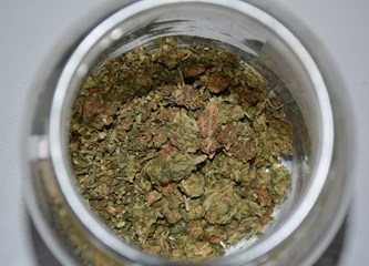 30-godišnjak uzgajao marihuanu u garaži u Zelini