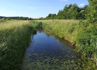 Tko čeka dočeka – čeka u Donjoj Bistri dobila novi most