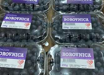 Distributivni centar za voće i povrće u Rakitovcu ima najmoderniji stroj za sortiranje jagodastog voća