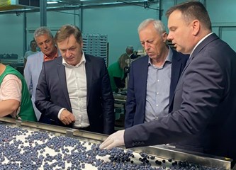 Distributivni centar za voće i povrće u Rakitovcu ima najmoderniji stroj za sortiranje jagodastog voća