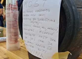 Kestenijada i utrka na kosilicama privukla u Buševec brojne posjetitelje