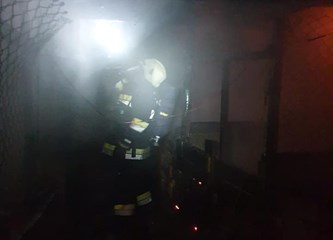 Požar kraj Jaske: Zapalio se svinjac, ugušile se svinje i kokoši