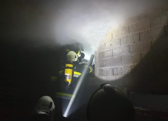 Požar kraj Jaske: Zapalio se svinjac, ugušile se svinje i kokoši