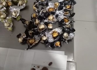 FOTO U Zračnoj luci Franjo Tuđman uhvatili Brazilca s 2,5 kile kokaina!