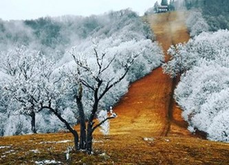 PHOTO ZAGREB COUNTY Pobijedila fotka iz Jaske, djevojka iz Dubravice pobrala najviše lajkova!