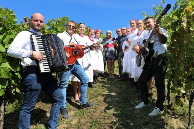FOTO Počela berba: „Manji urod dao vrhunsko grožđe, imat ćemo fina vina!“