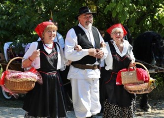 „Kak su brali naši stari“: U Dubravici označen početak berbe grožđa u zagorskom dijelu Zagrebačke županije