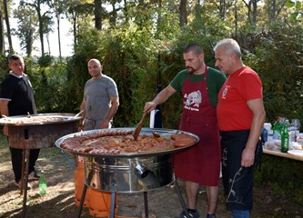 FOTO Žirovina u Turopoljskom lugu bogatija programom i sadržajem, no hrastove šume, sve siromašnije plodovima