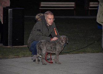 FOTO Jesenski ugođaj u središnjem goričkom parku uz film i kestene pružila nova manifestacija "Via kino"