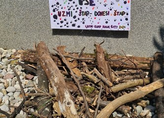 Sve više djece i mladih praznike završava uz Ljetni kamp Hawk City
