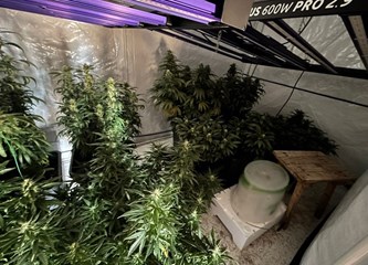 FOTO: Kod 43-godišnjaka u okolici Jaske pronađen improvizirani laboratorij za uzgoj marihuane