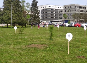 Na zelenoj površini velikogoričke osnovne škole posađen prvi urbani vrt u Hrvatskoj
